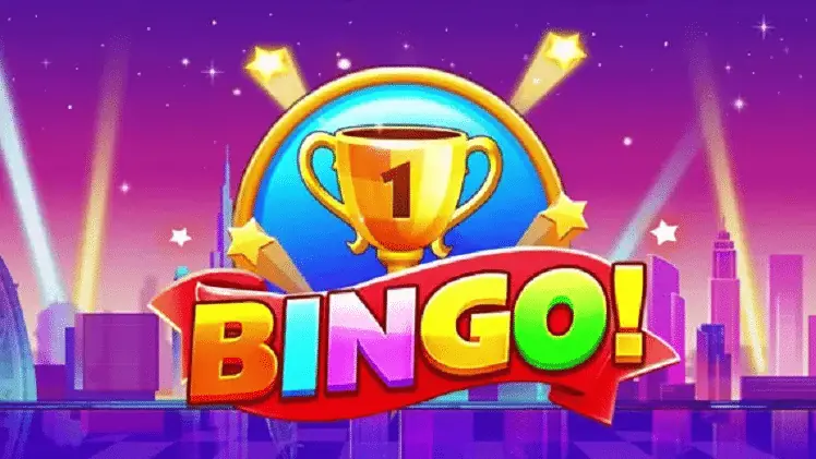 Playfina bingo game